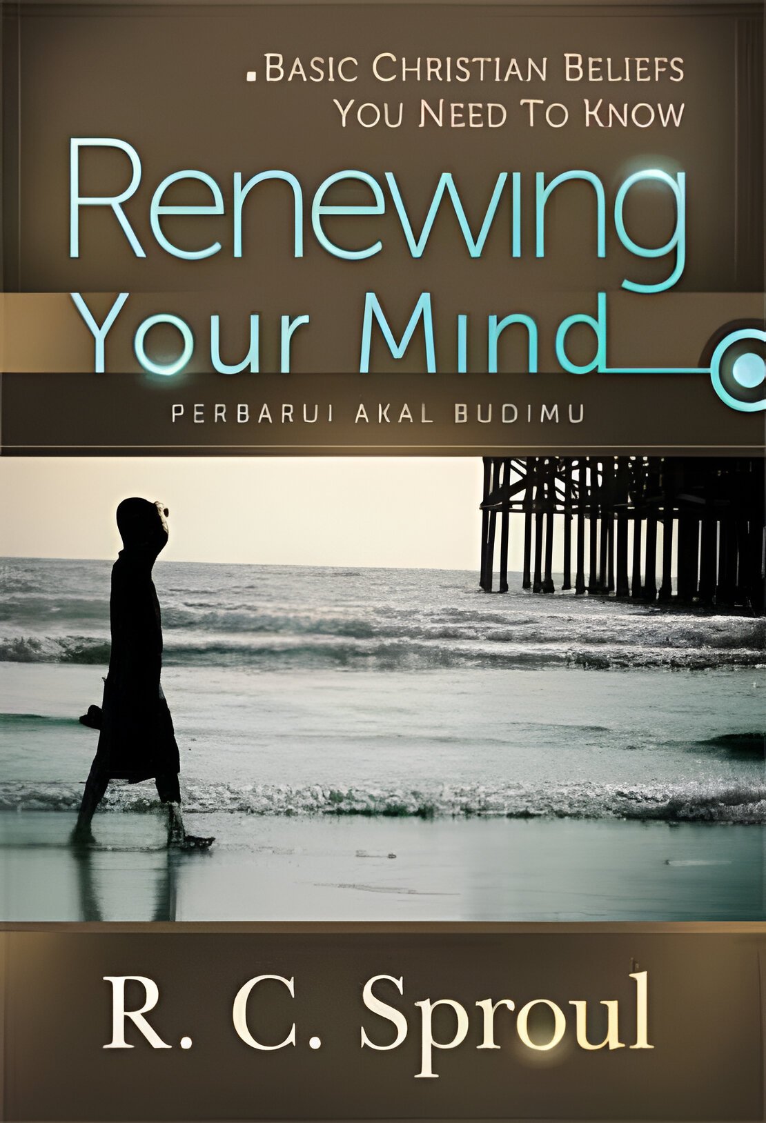 Renewing Your Mind